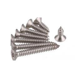 304 Stainless steel countersunk head tapping screws M2 100pcs